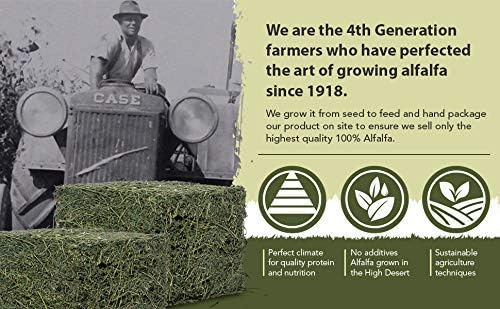 Blue Pinafore Denim Dress