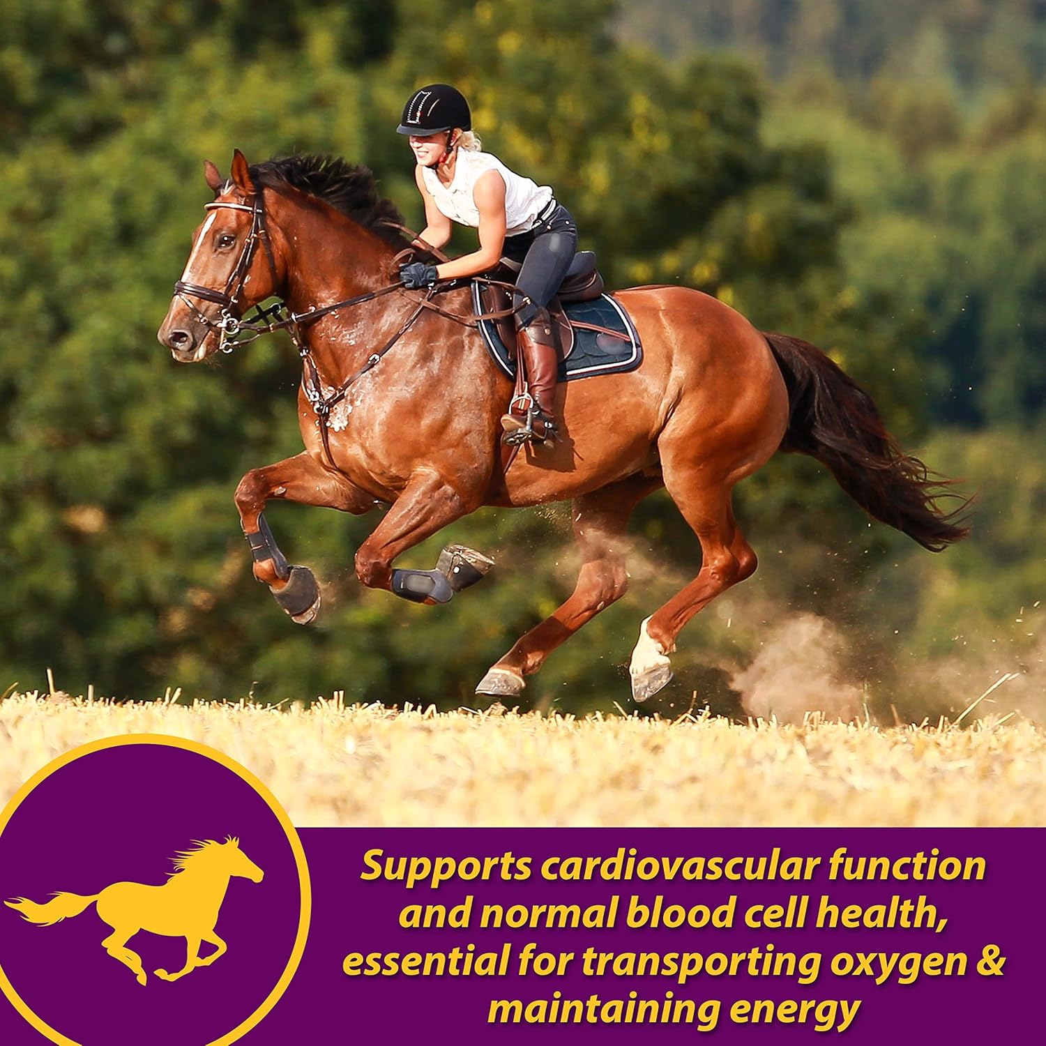 Blue Pinafore Denim Dress