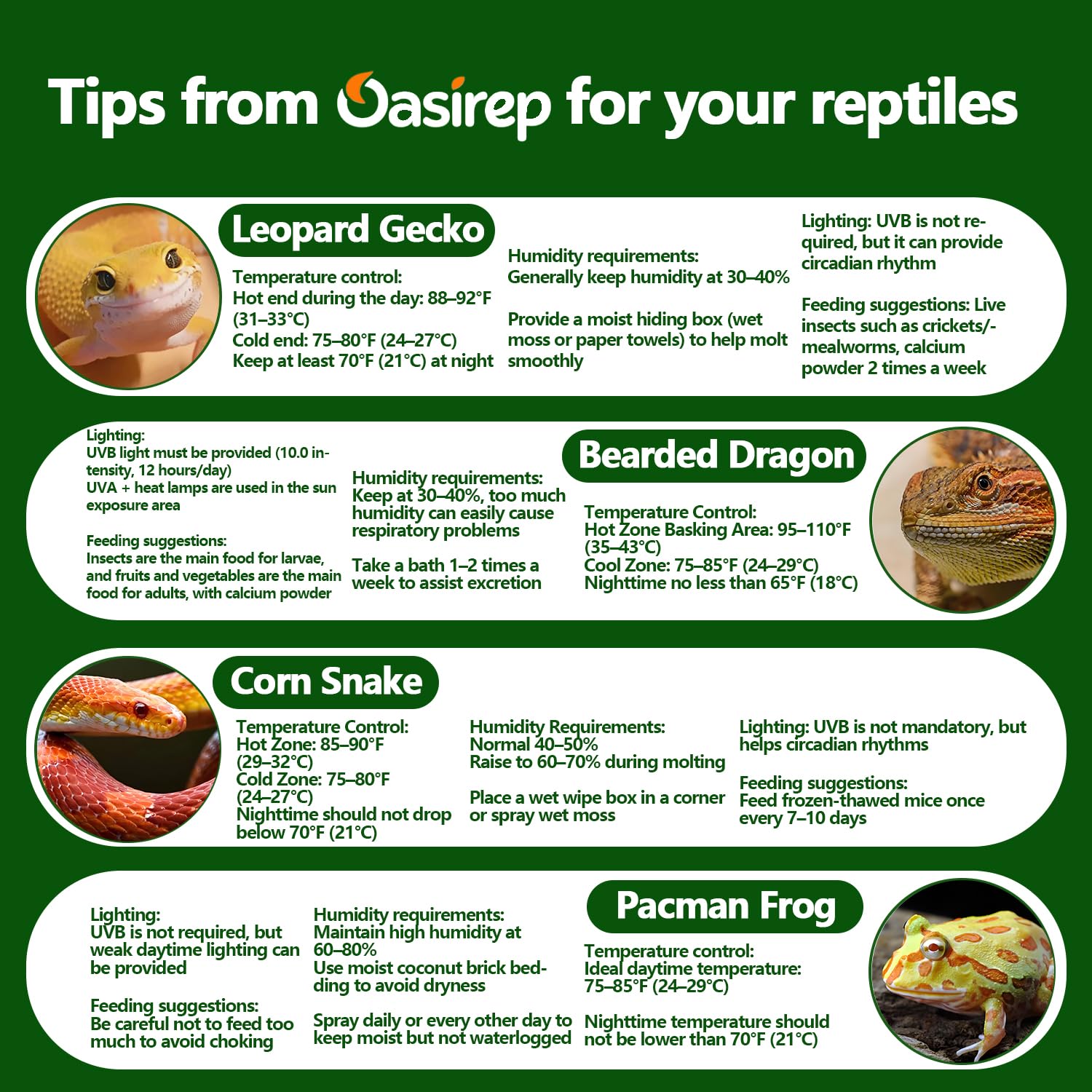 Blue Pinafore Denim Dress