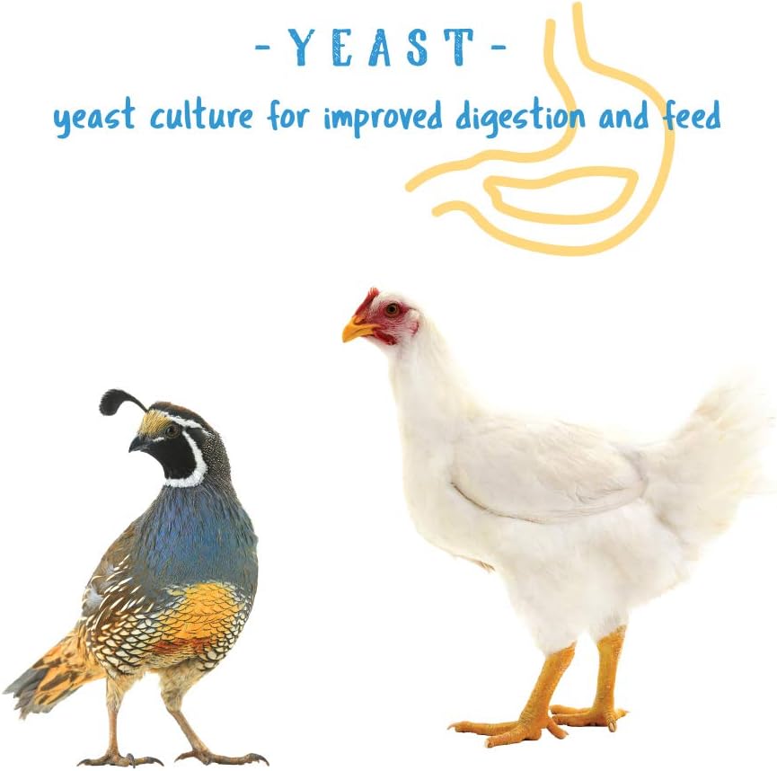 Blue Pinafore Denim Dress