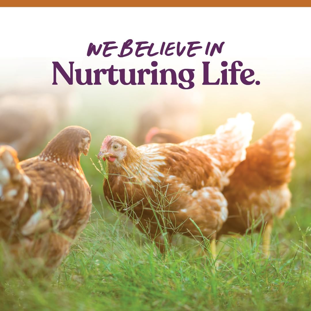 Blue Pinafore Denim Dress