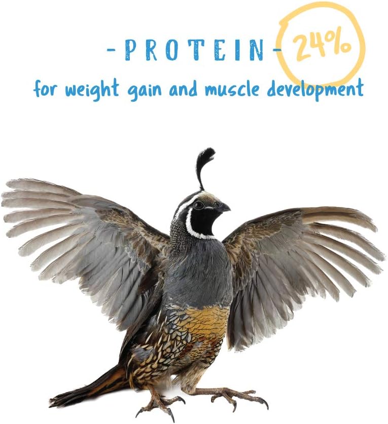 Blue Pinafore Denim Dress