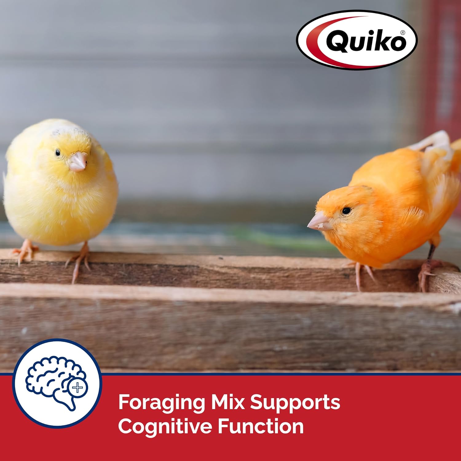 Blue Pinafore Denim Dress