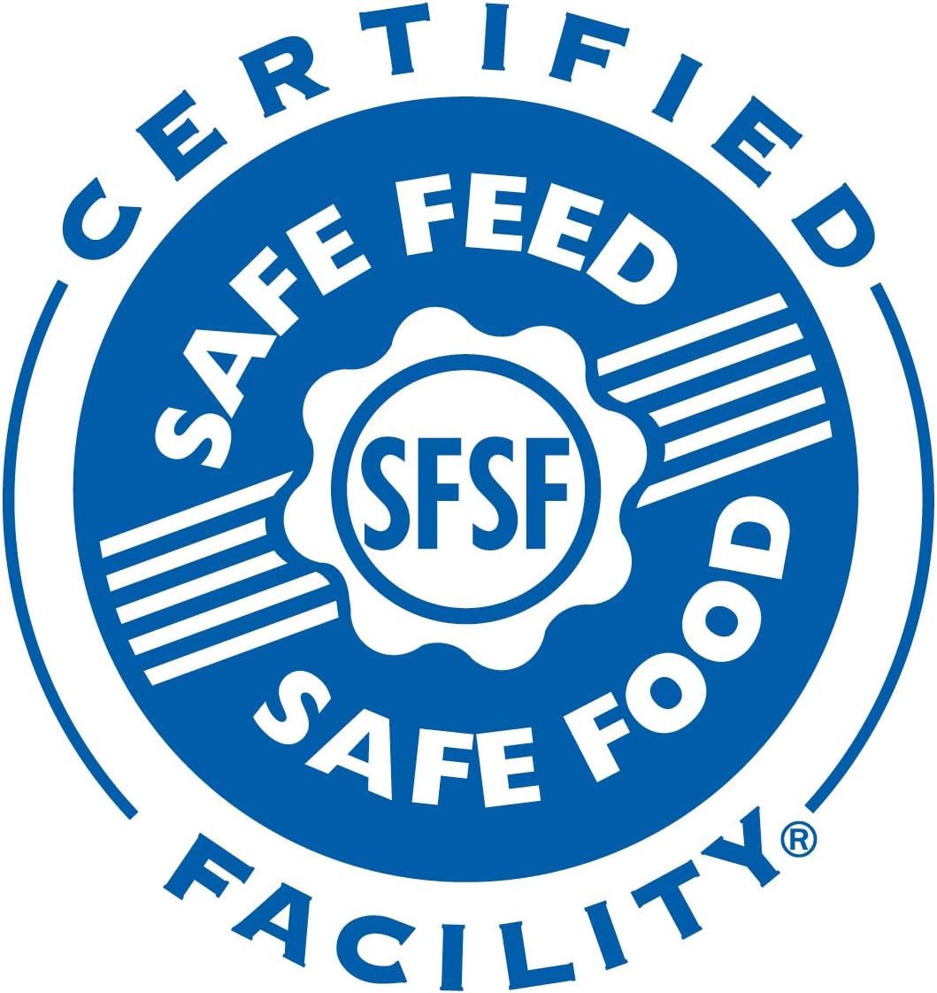 Blue Pinafore Denim Dress