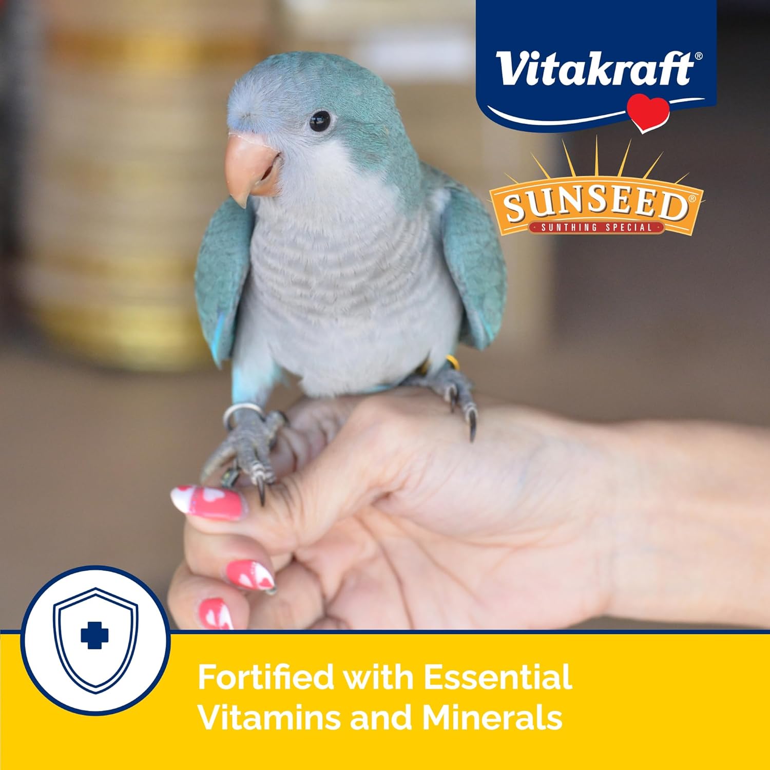 Blue Pinafore Denim Dress