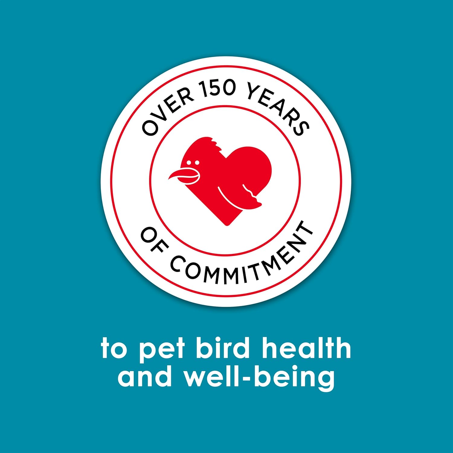 Blue Pinafore Denim Dress