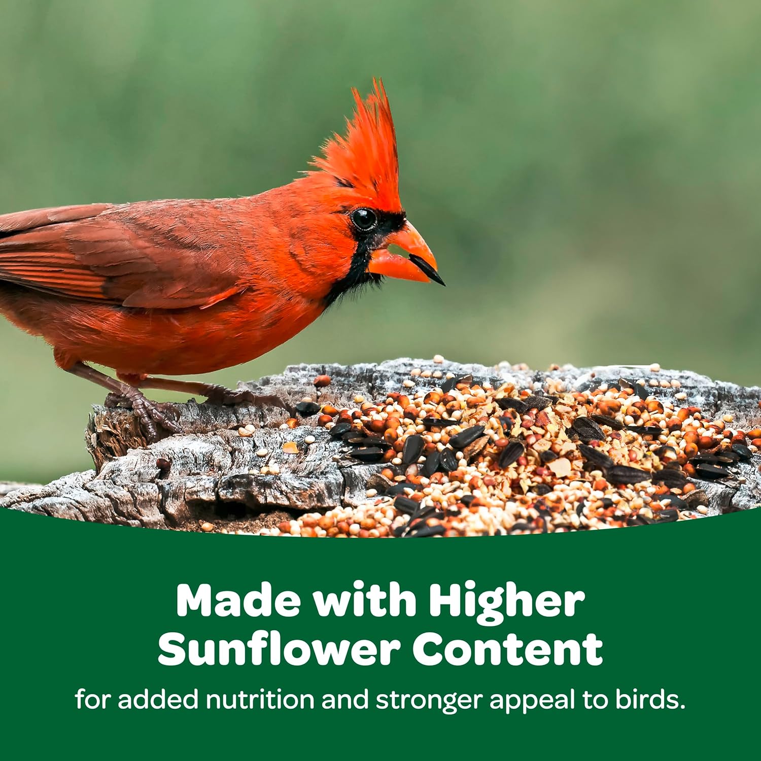 Blue Pinafore Denim Dress