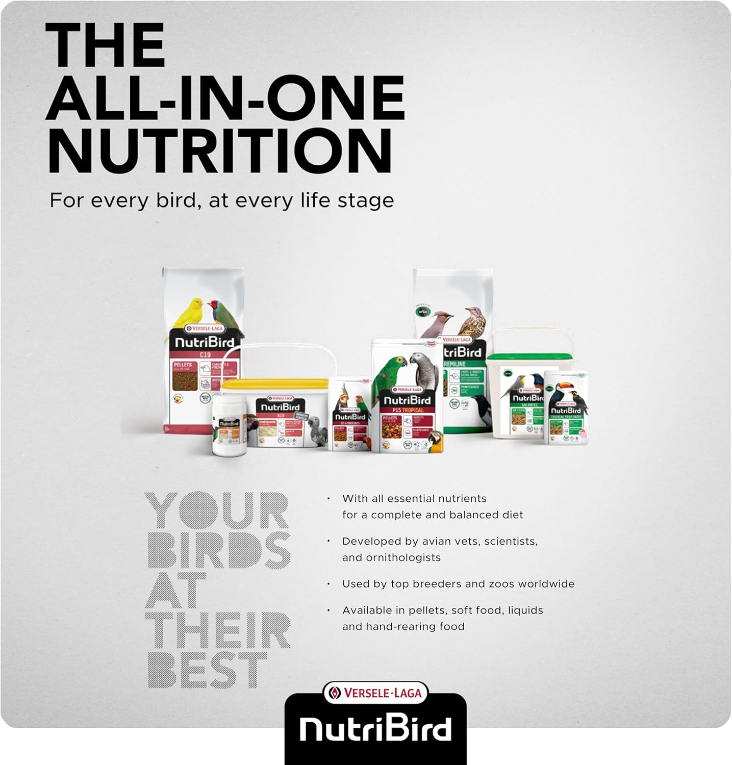 Blue Pinafore Denim Dress