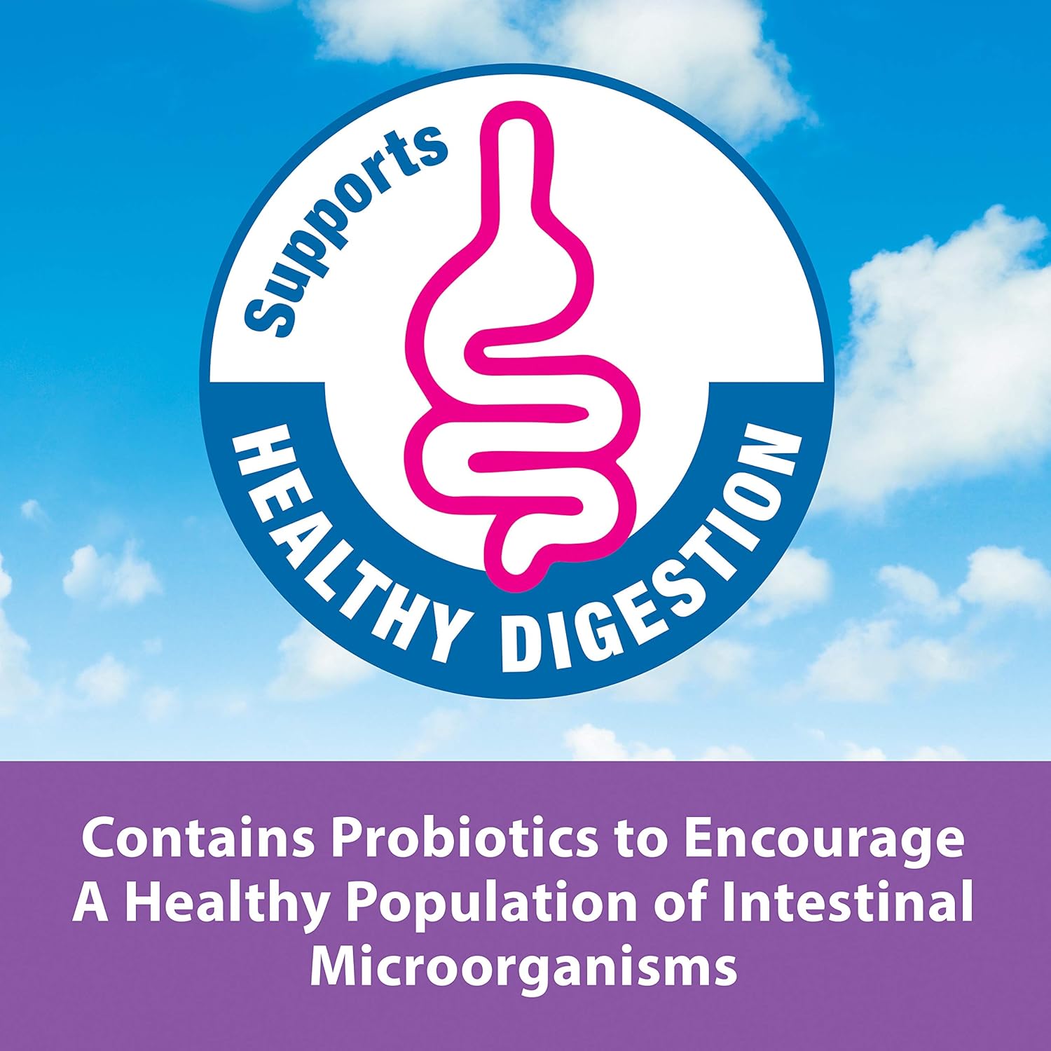 Blue Pinafore Denim Dress