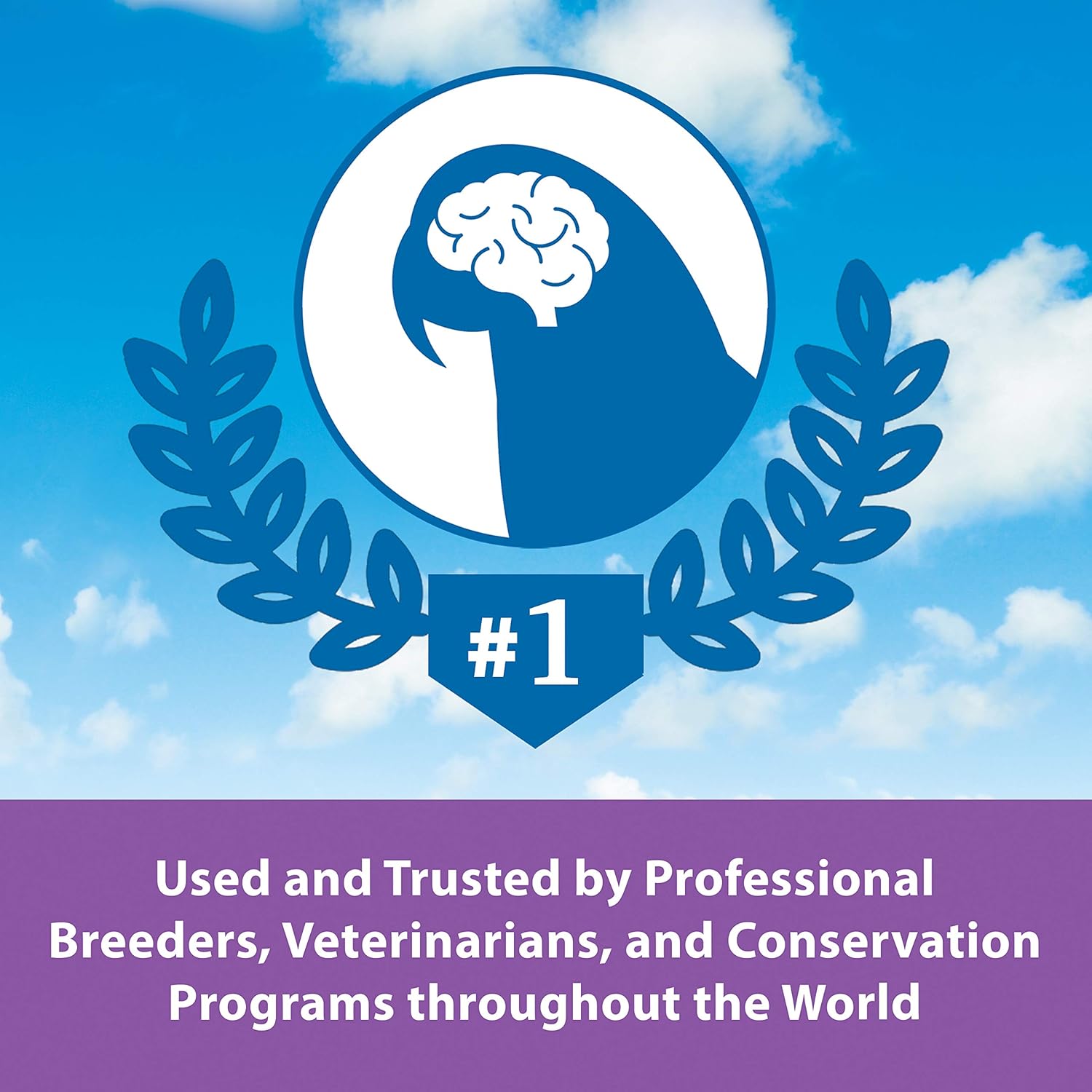 Blue Pinafore Denim Dress