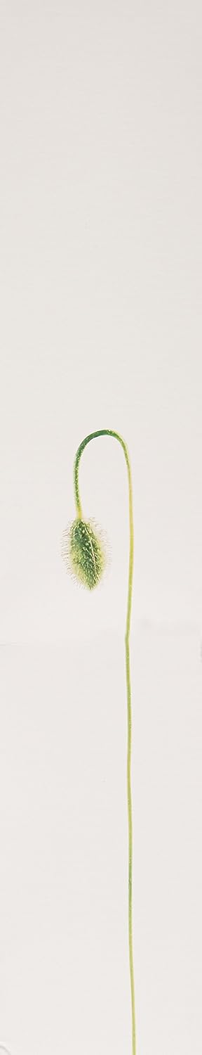 Blue Pinafore Denim Dress