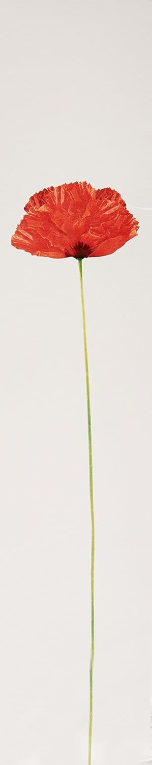 Blue Pinafore Denim Dress