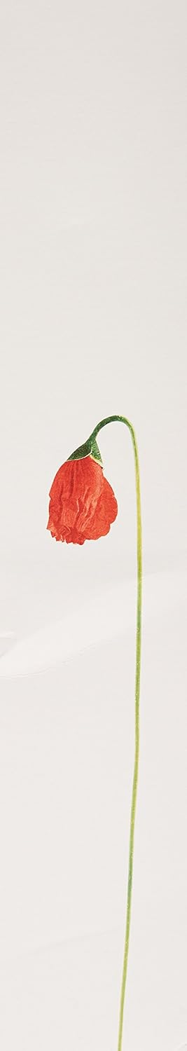 Blue Pinafore Denim Dress